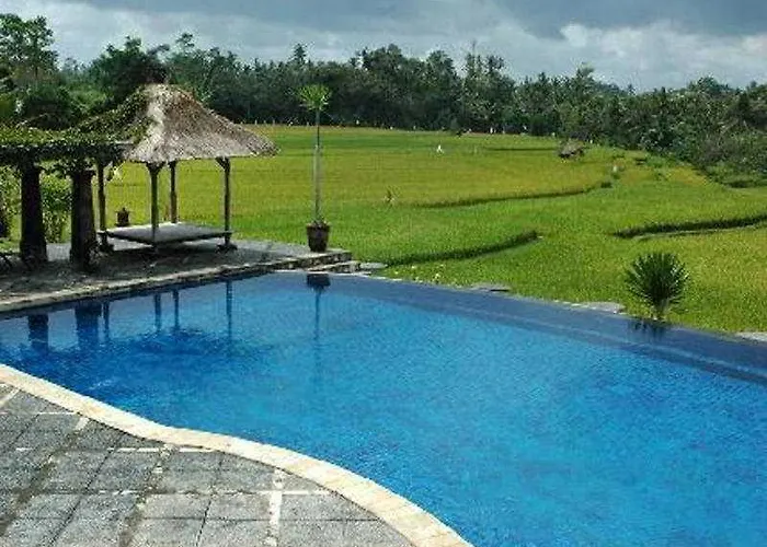 Bumi 3*