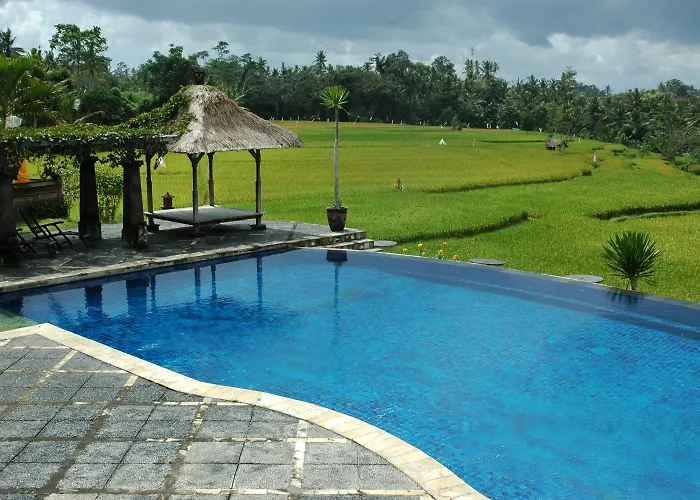 Bumi