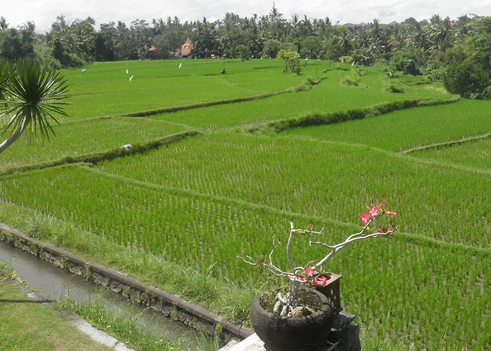 Bumi Resort 3*
