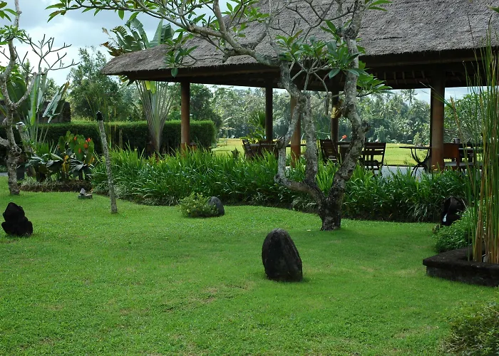 Bumi