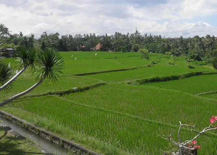 Bumi Resort 3*