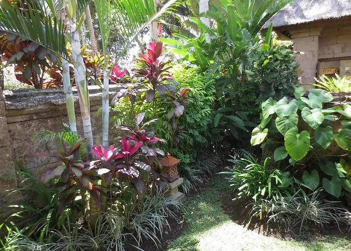 Bumi 3* Ubud (Bali)