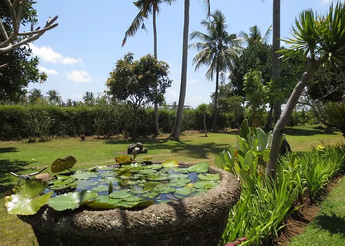 Bumi Resort 3*